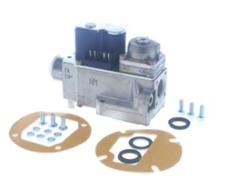 Ideal Gas Valve & Pre-Set W45 & W60  172966