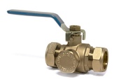 Inta 35mm Ball Valve with 500 Micron Filter Cartridge BVF35