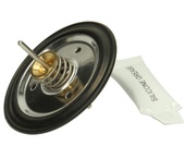 Worcester 87161405530 diaphragm replacement kit