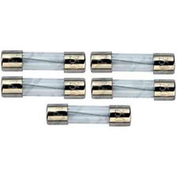 Glow Worm Fuses 125Ma 2000801932 (clearance)