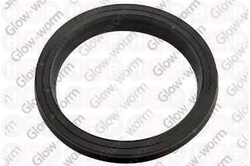 GLOW WORM "O" RING KIT S208040 (CLEARANCE)