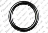 Glowworm 0020020711 Washer