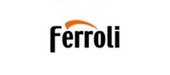 Ferroli F30 Boiler Spares