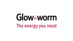 GLOW WORM COMBUSTION FRONT 0020061553 (1 LEFT)